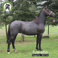 fuereño 300754
